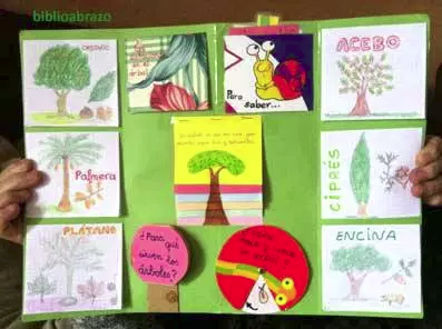 lapbook1